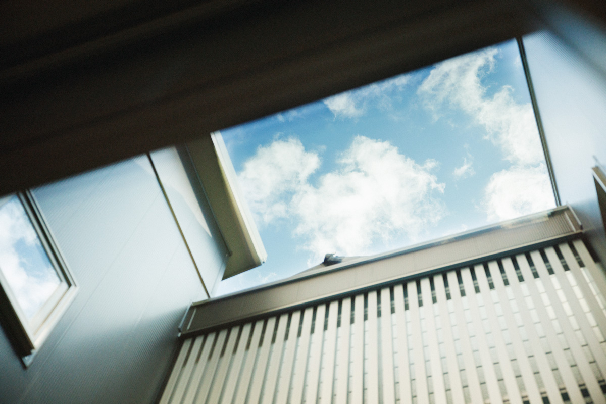 プロに教えてもらう猫ファーストな家の造り方 中庭