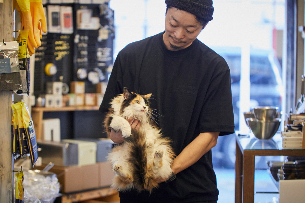 入口からガラス越しに外を眺め、お客さんを招き入れるのが上手。日用品店の猫 カノンさん(11歳/♀)