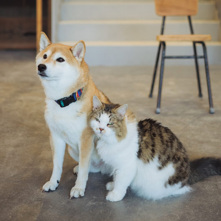 DMA-DSC_5205-Edit DMA-DSC_5205-Edit