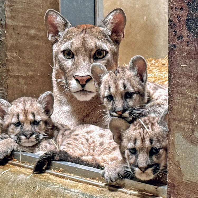 DMA-20250729・家族写真