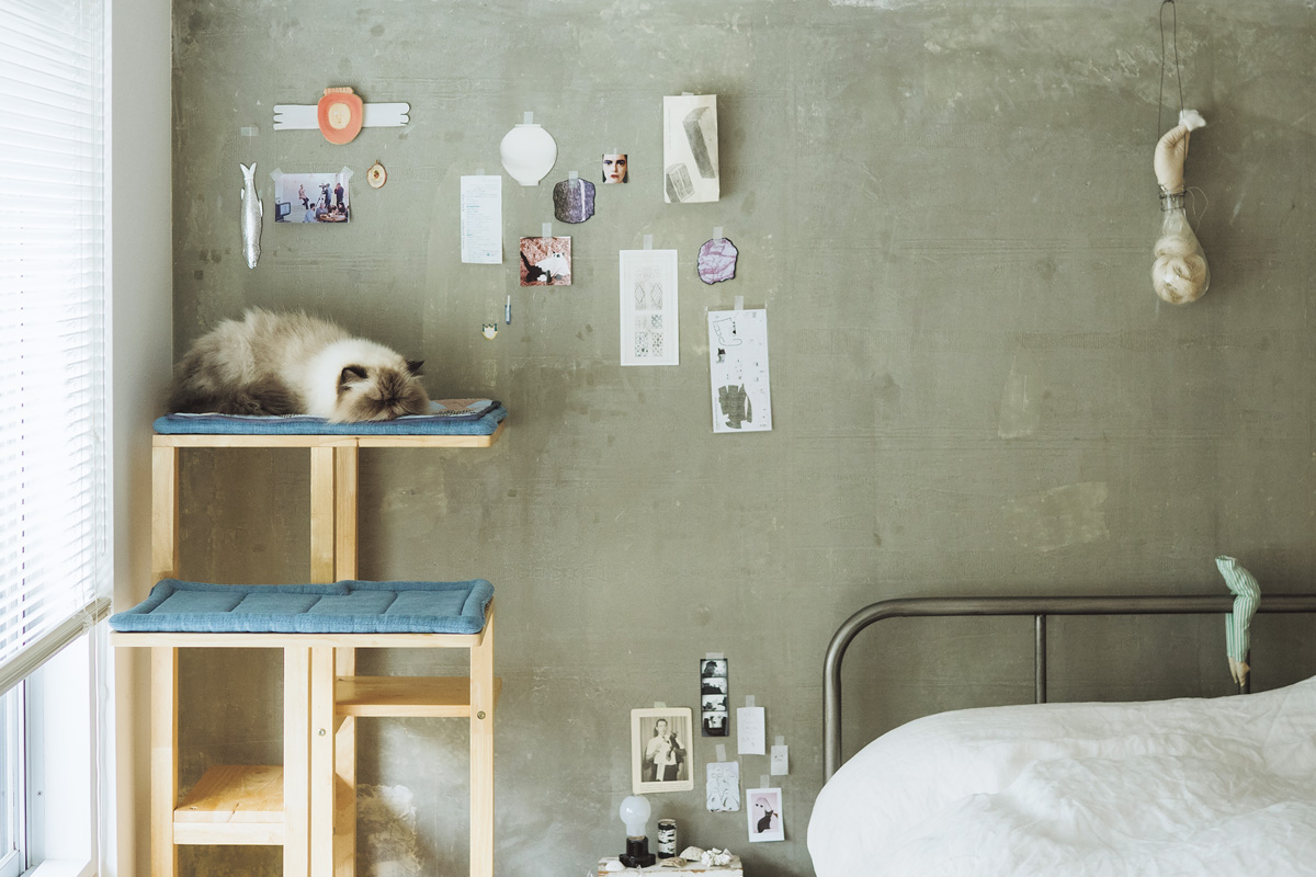 おしゃれな団地で猫を飼う人