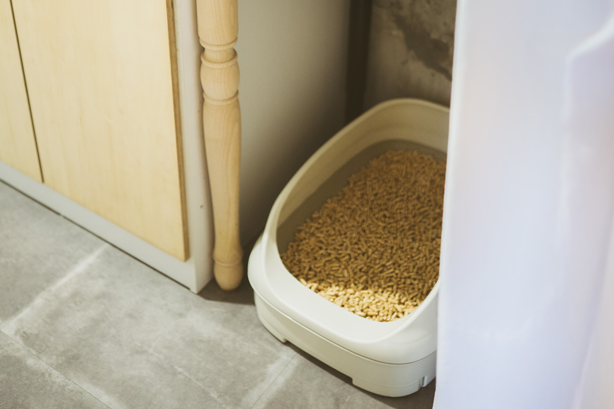 便利な猫グッズ トイレ