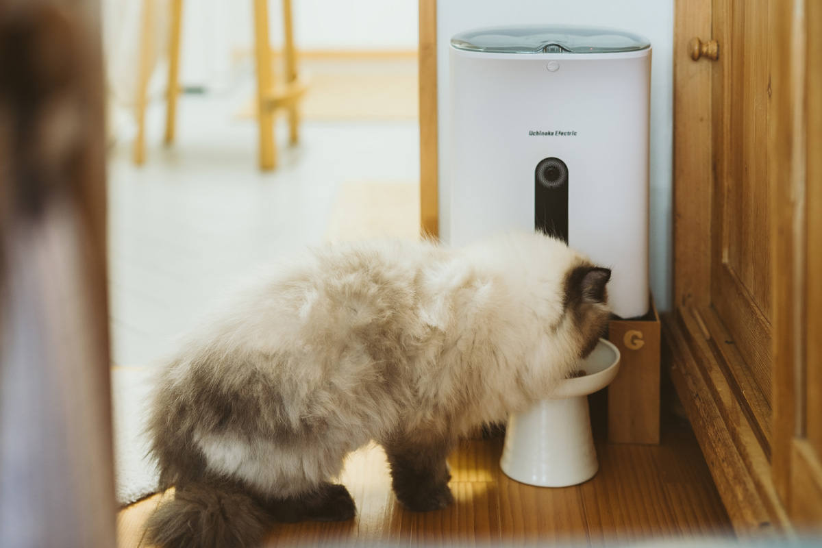 便利な猫グッズ 自動給餌器