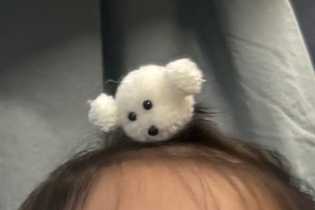 きゃりーぱみゅぱみゅの娘