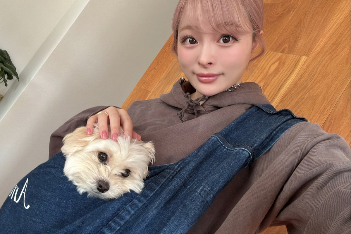 きゃりーぱみゅぱみゅと飼い犬