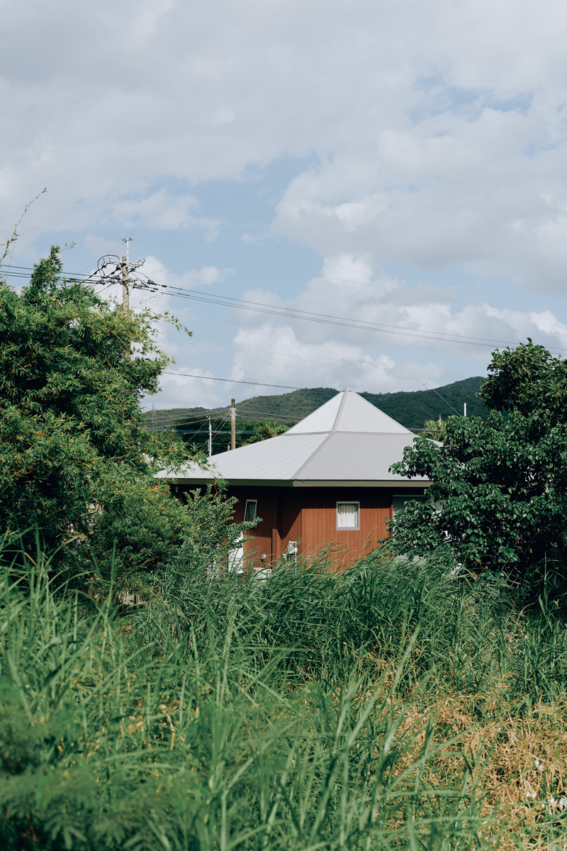 奄美の“猫の楽園ハウス”