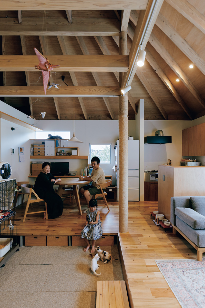 奄美の“猫の楽園ハウス”