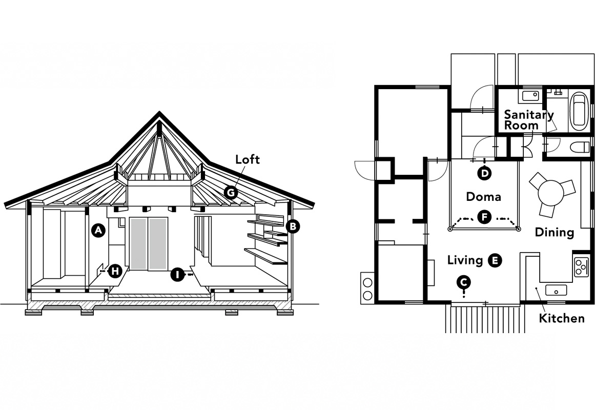 奄美の“猫の楽園ハウス”