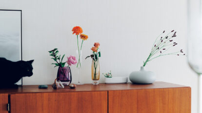 【元獣医師監修】チューリップは絶対にだめ。猫と花のある暮らしを楽しむために知っておきたいこと