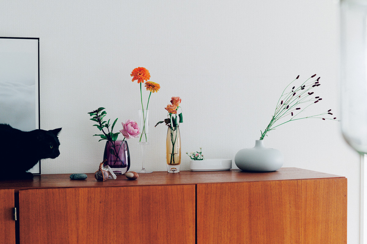 【元獣医師監修】チューリップは絶対にだめ。猫と花のある暮らしを楽しむために知っておきたいこと