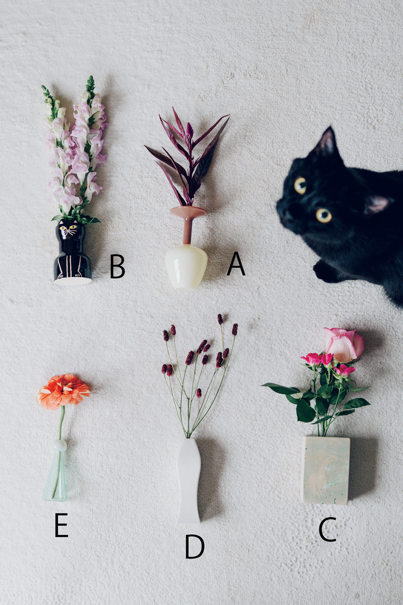 猫と花のある暮らし