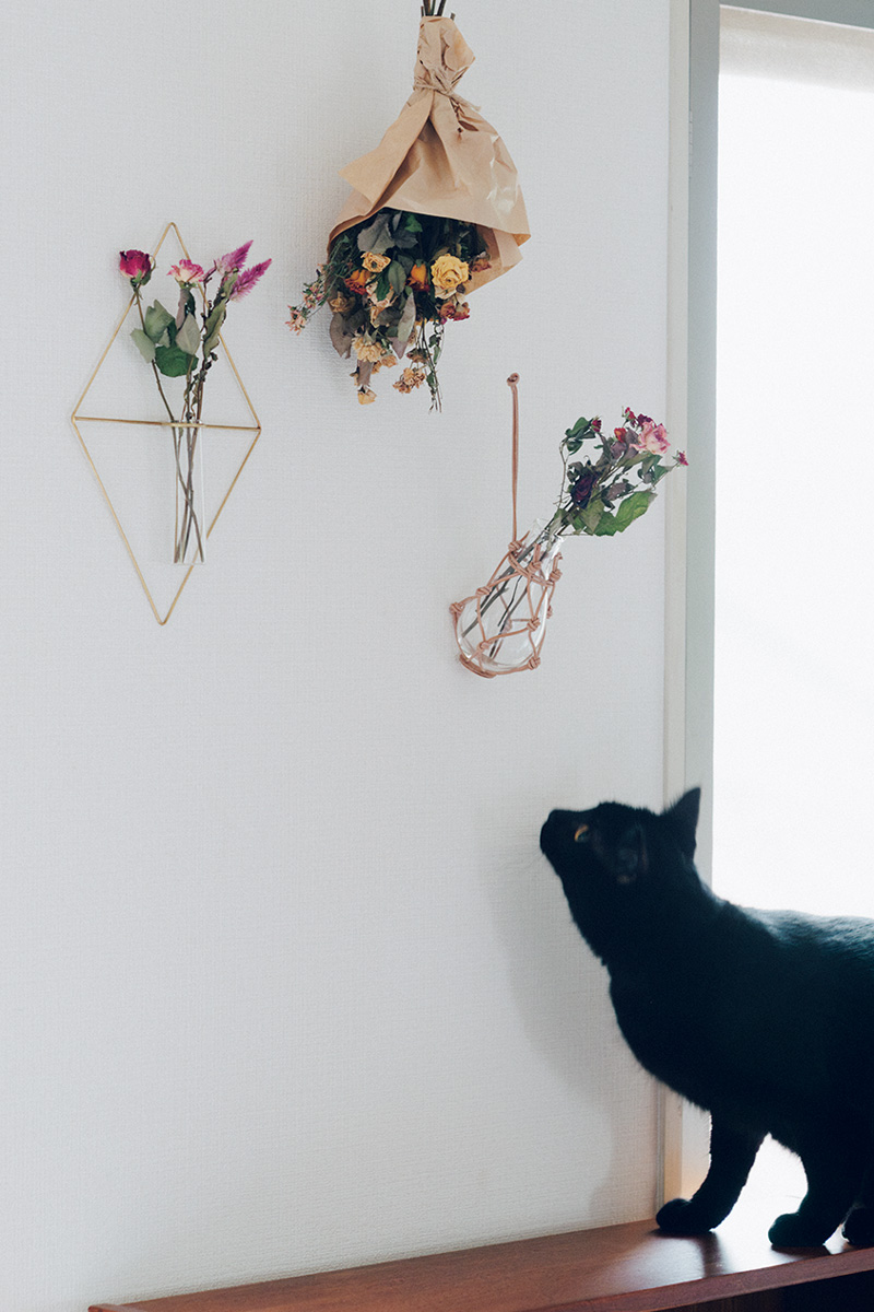 猫と花のある暮らし