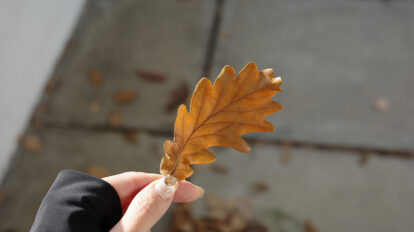 児玉雨子の「ひとくち分の街の記憶」＃10「はじける世界のくす玉」――フランス・ポワシーのサヴォア邸へ