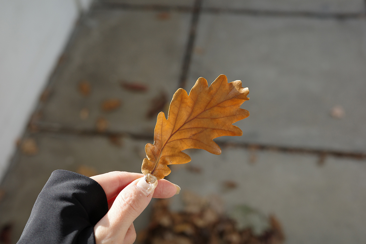 児玉雨子の「ひとくち分の街の記憶」＃10「はじける世界のくす玉」――フランス・ポワシーのサヴォア邸へ