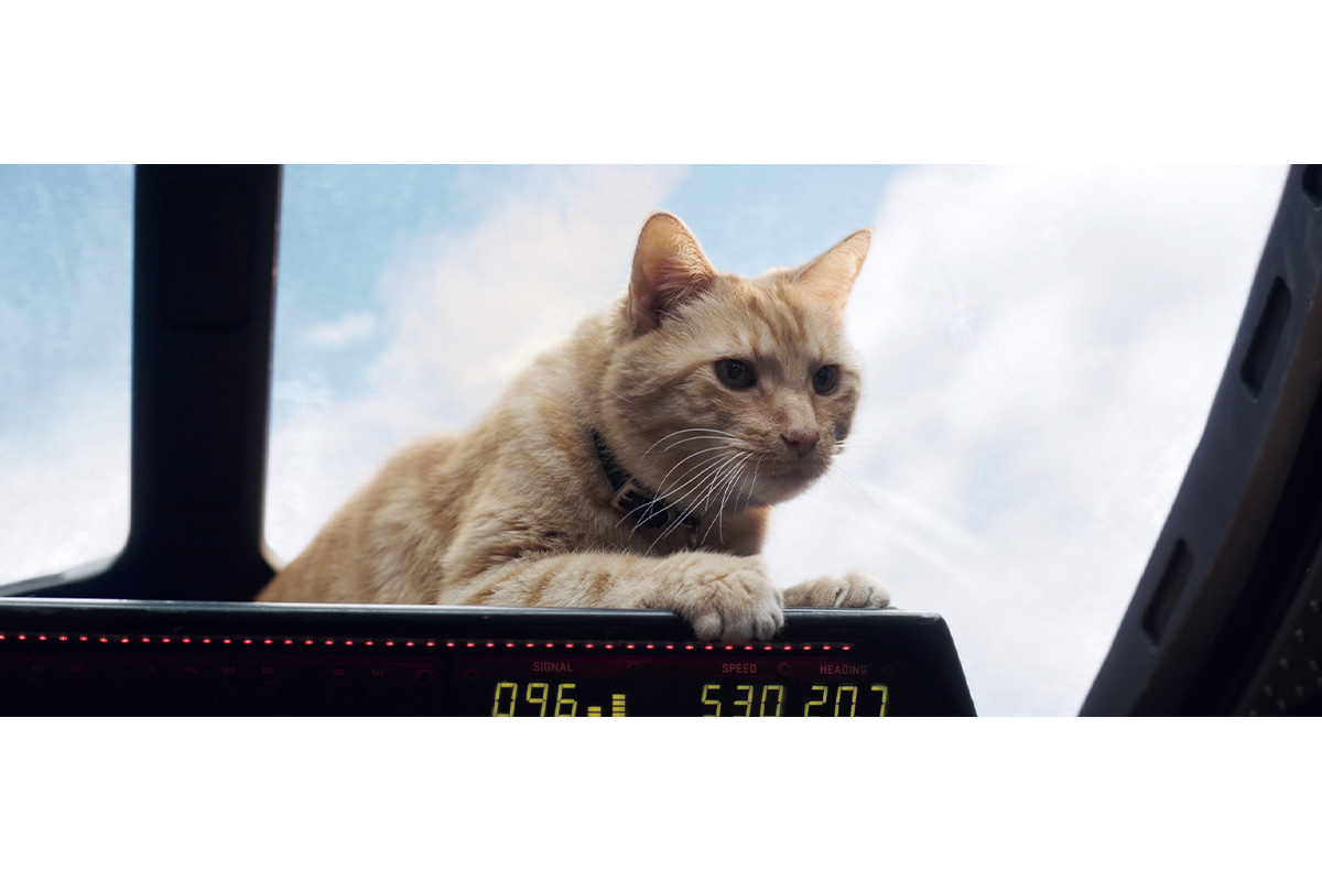 映画『キャプテン・マーベル』のワンシーン