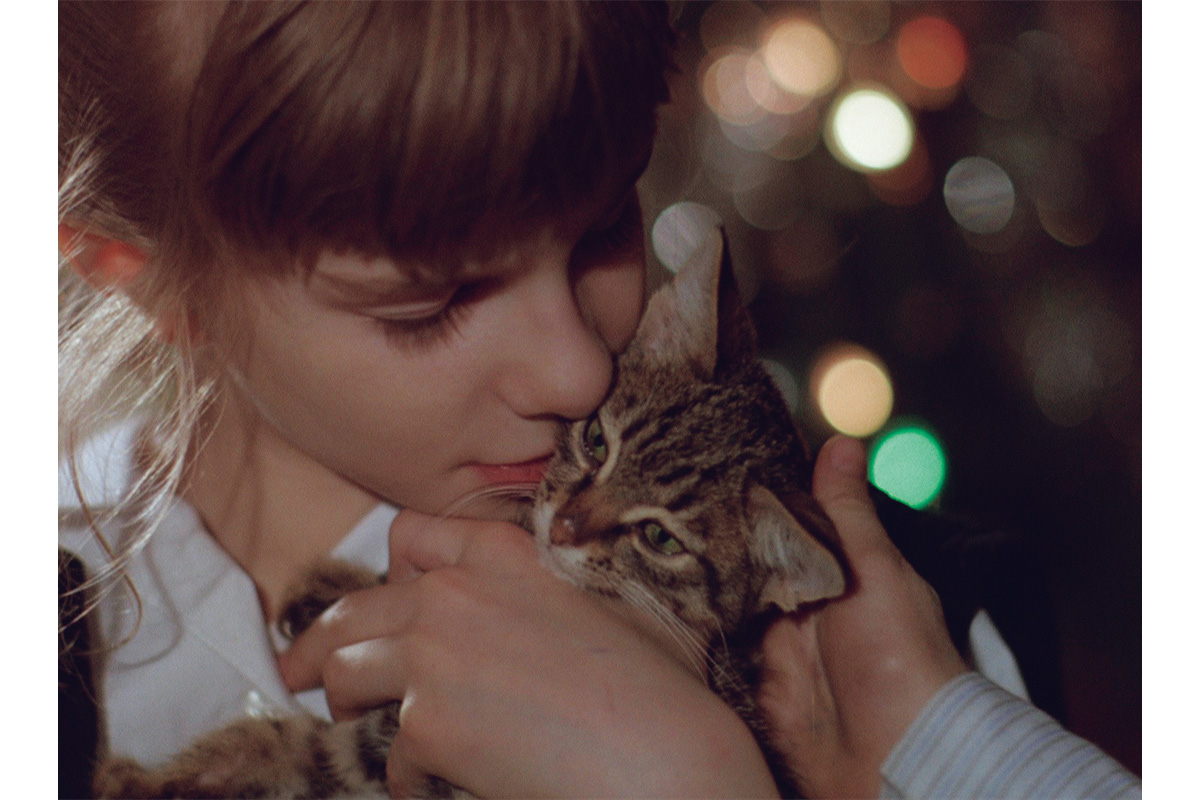 映画『こねこ』のワンシーン