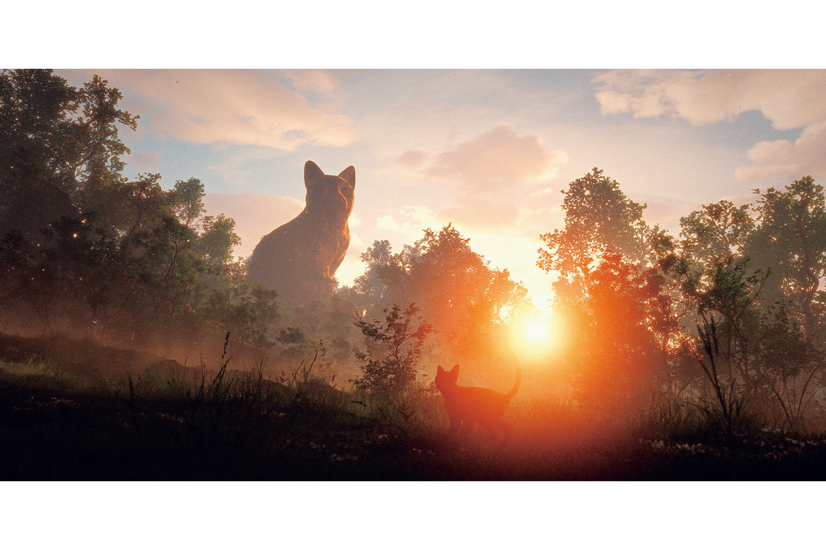 映画『Flow』のワンシーン