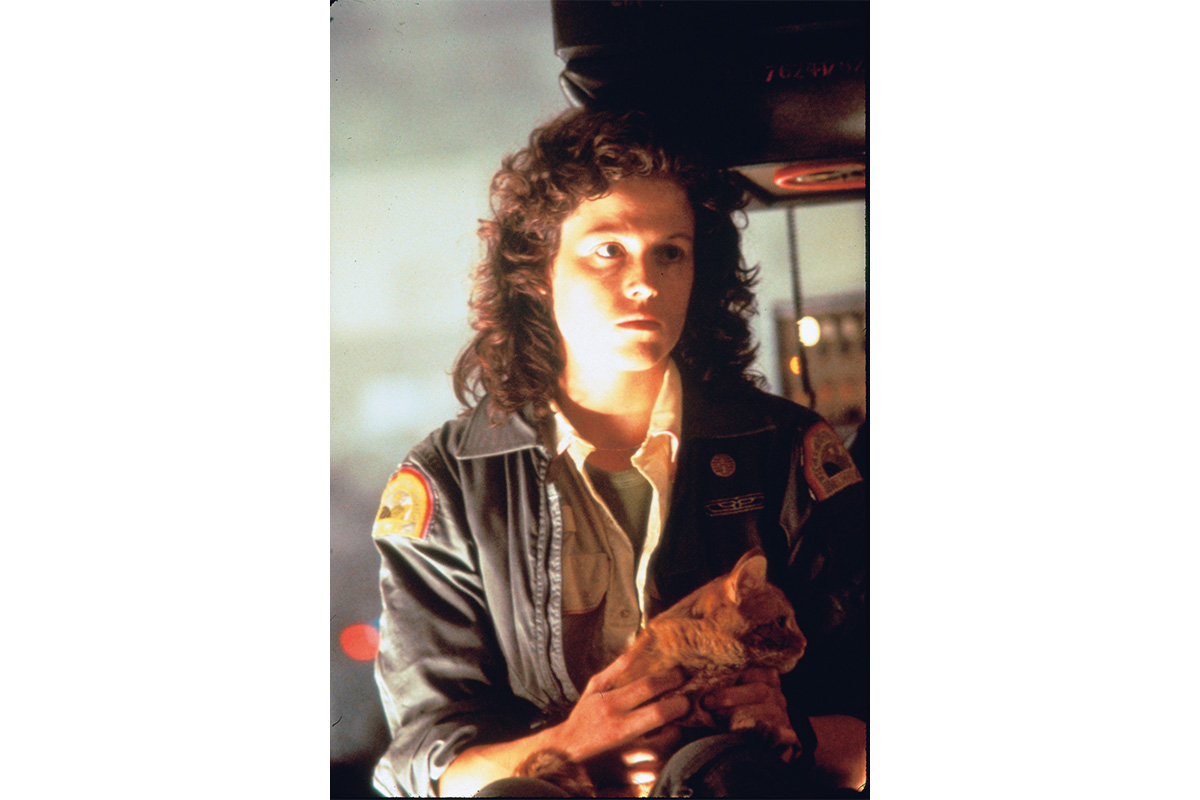 映画『エイリアン』のワンシーン