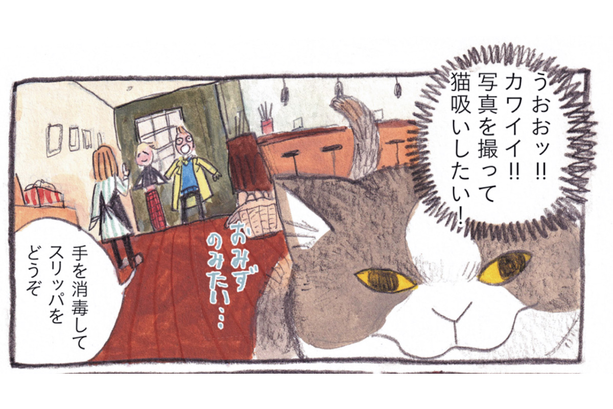 漫画『三毛猫モブは猫缶を稼ぎたい Mobu’s Diary』の一コマ