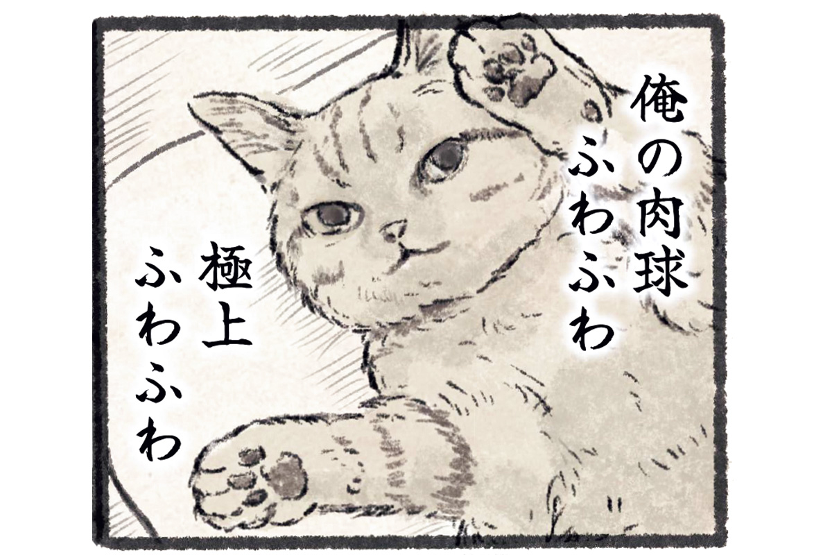 漫画『今日もネコ様の圧が強い』の一コマ