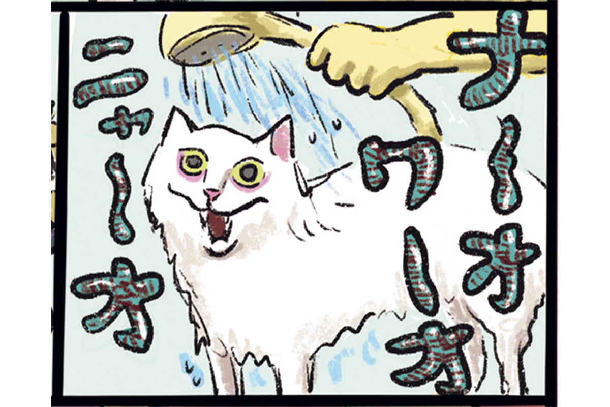 漫画『白猫、黒猫、しましま猫』の一コマ