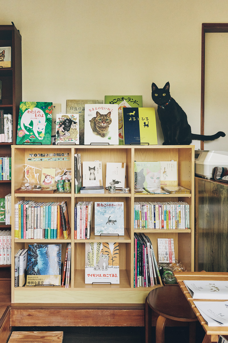 ネコオドル 猫に関する書籍や絵本が多い本屋さん