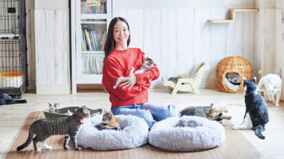 猫と触れ合いながら、活動支援も。モデル・松島花さんと、保護猫カフェへ。