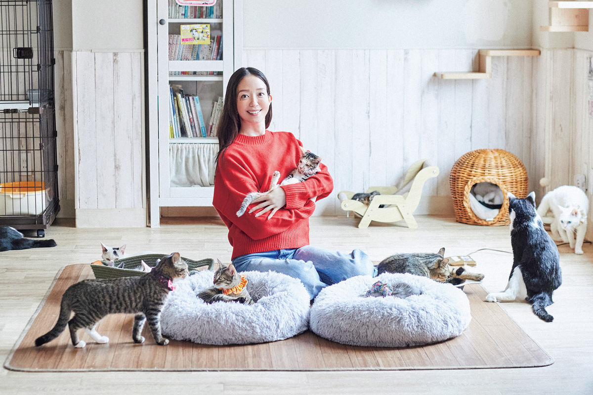 猫と触れ合いながら、活動支援も。モデル・松島花さんと、保護猫カフェへ。