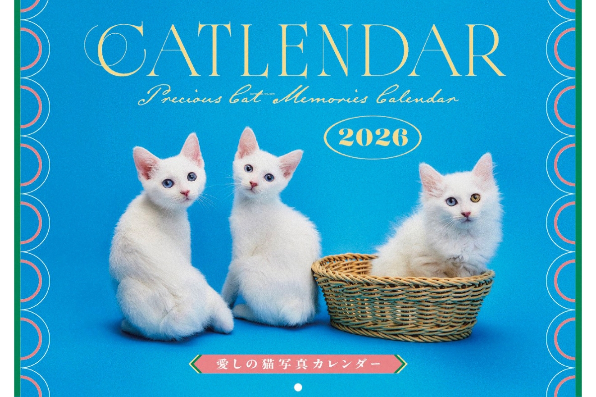 保護猫の応援ができるカレンダー