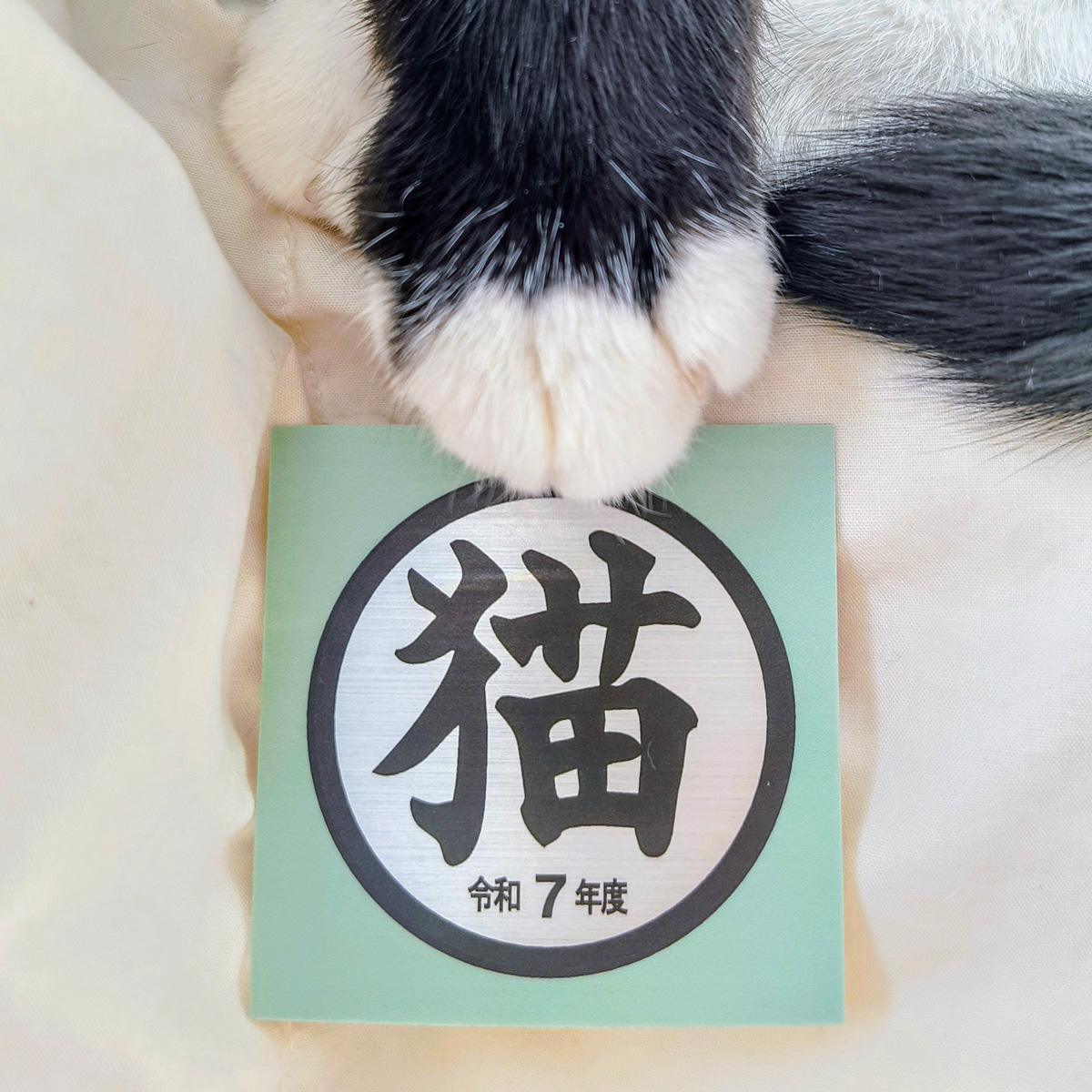 保護猫の応援ができるシール