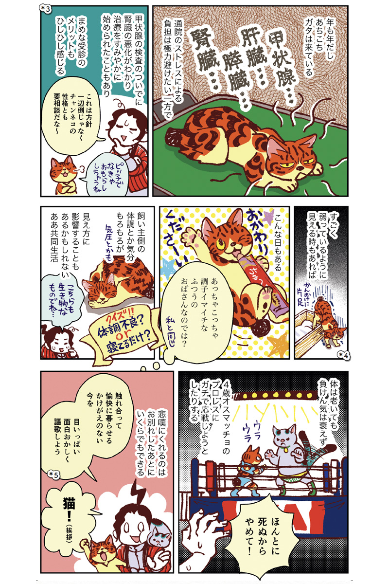 【獣医が解説】漫画で学ぶ！ シニア猫との正しい付き合い方