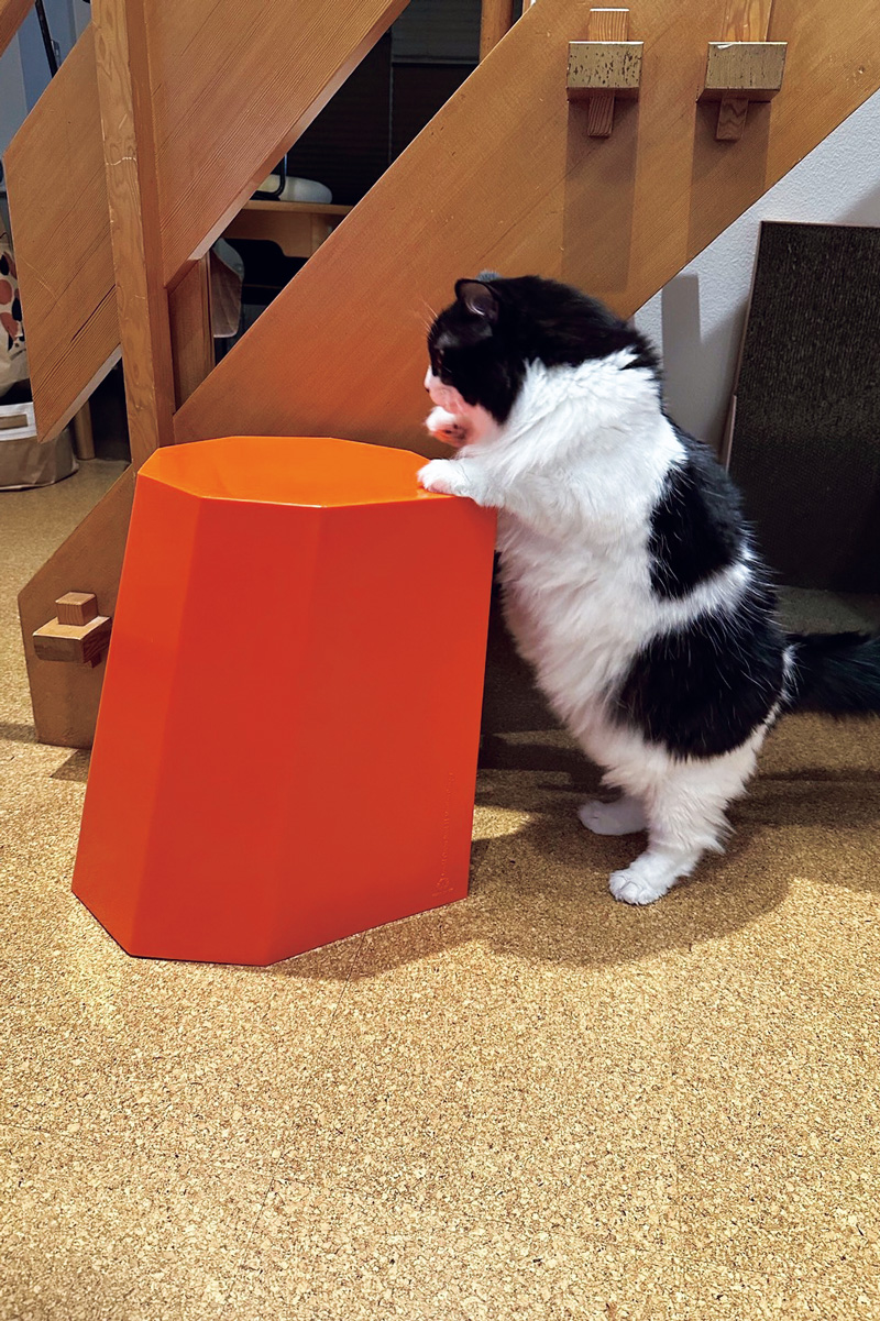 ミキの亜生　猫好き芸人