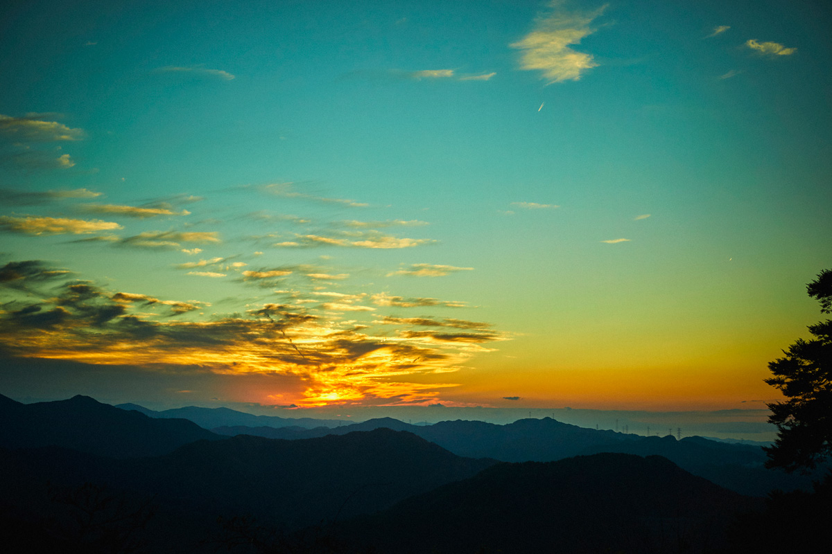 251119_542 251119_542