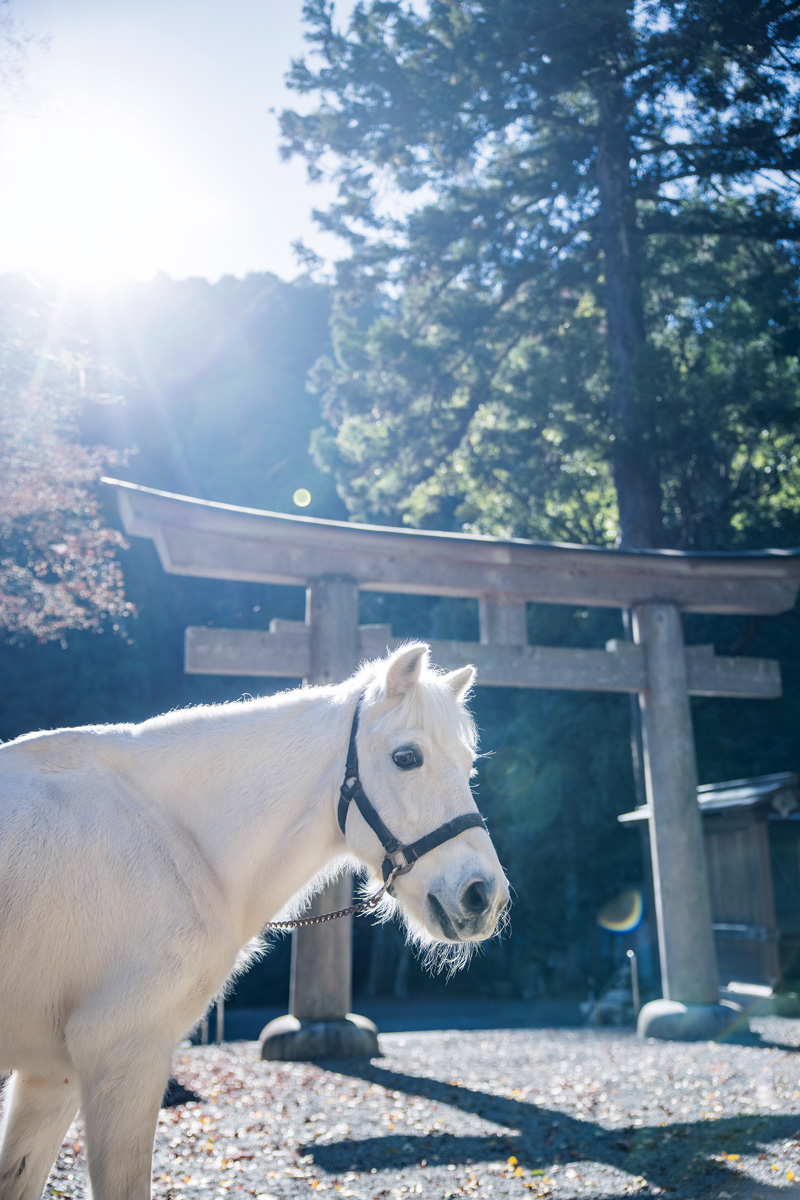 奈良　丹生川上神社　開運　吉野　