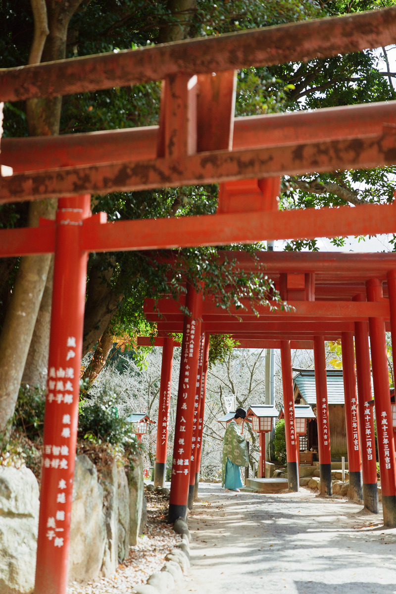 福岡　福津　宮地嶽神社　嵐　JAL　CM