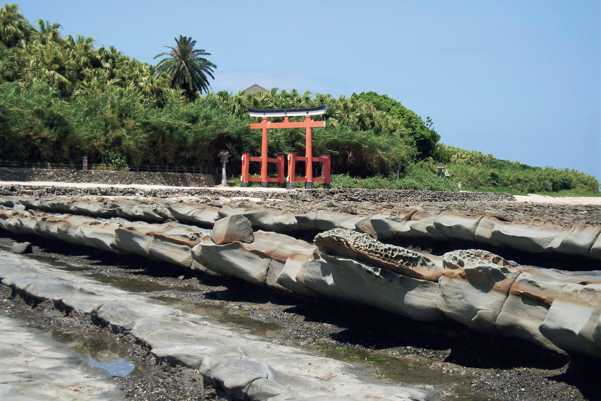 【宮崎県】熱帯植物に囲まれた社と自然の絶景を眺める。〈青島神社〉