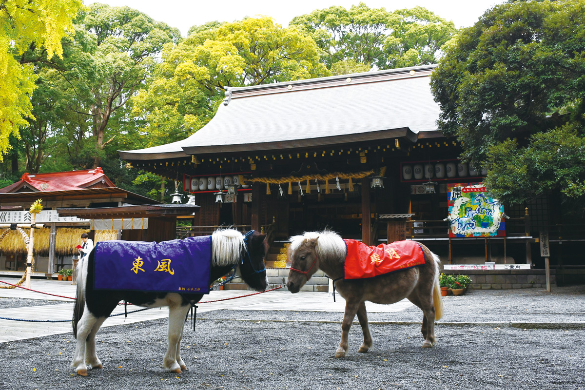【神奈川県】二頭の神馬がいる神社で勝負運を祈る。〈平塚八幡宮〉