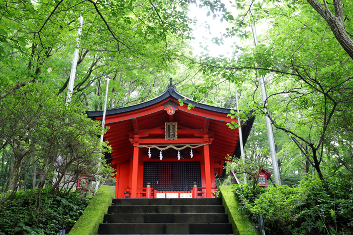 【神奈川県】叶えたい願いを心に芦ノ湖を散策したい。〈九頭龍神社 本宮〉