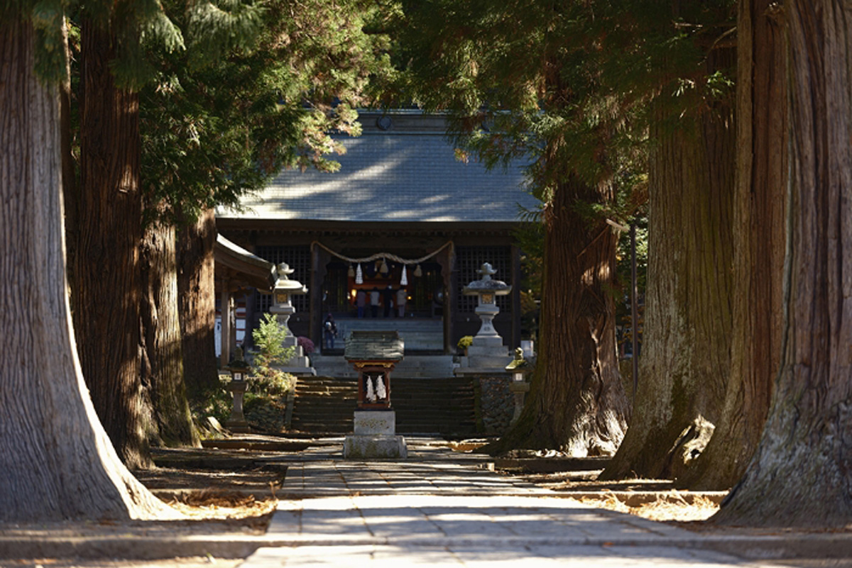 【山梨県】富士の火の勢いを中和する深い森の社。〈河口浅間神社〉