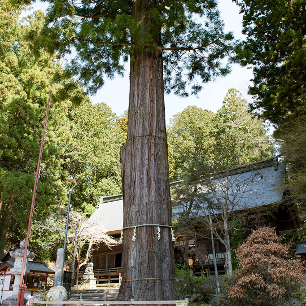河口浅間神社
