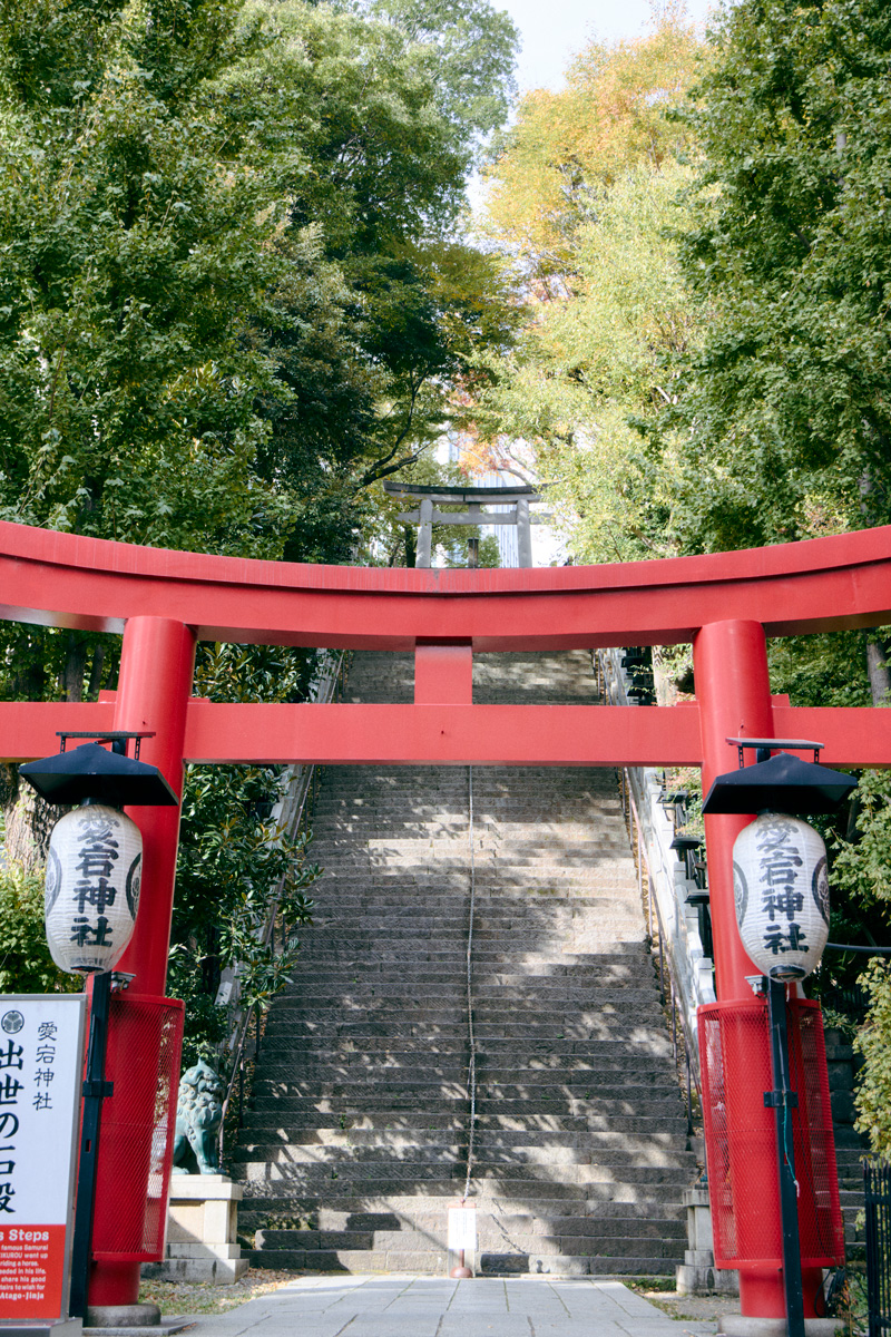 【港区】出世の石段を上り、成功をつかみ取る。〈愛宕神社〉