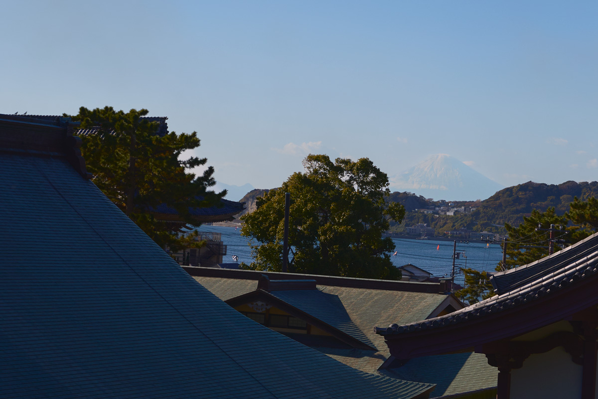 蓮池、鎌倉の海、富士山…。食事と共に絶景も楽しめる。〈浄土宗 大本山光明寺〉
