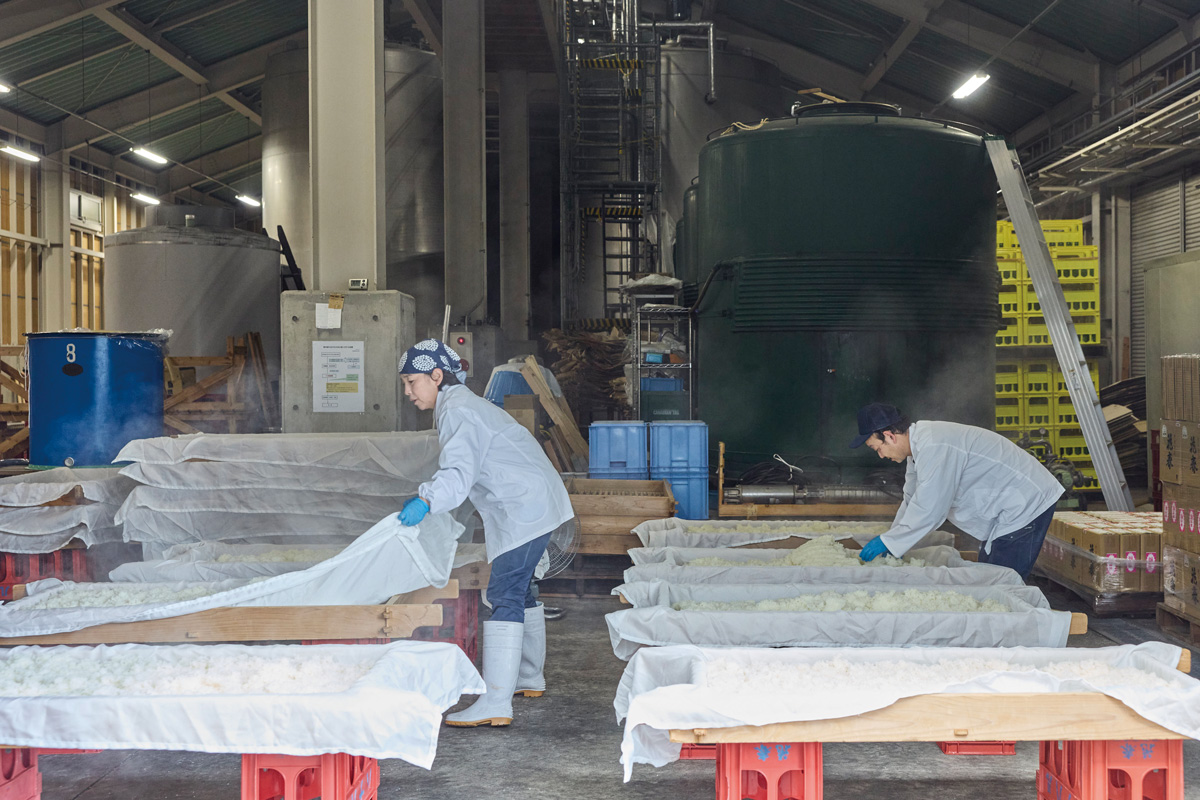 デイリーラインと小仕込みの二刀流、会津若松で女性杜氏が率いる酒造り。〈花春酒造〉/会津若松