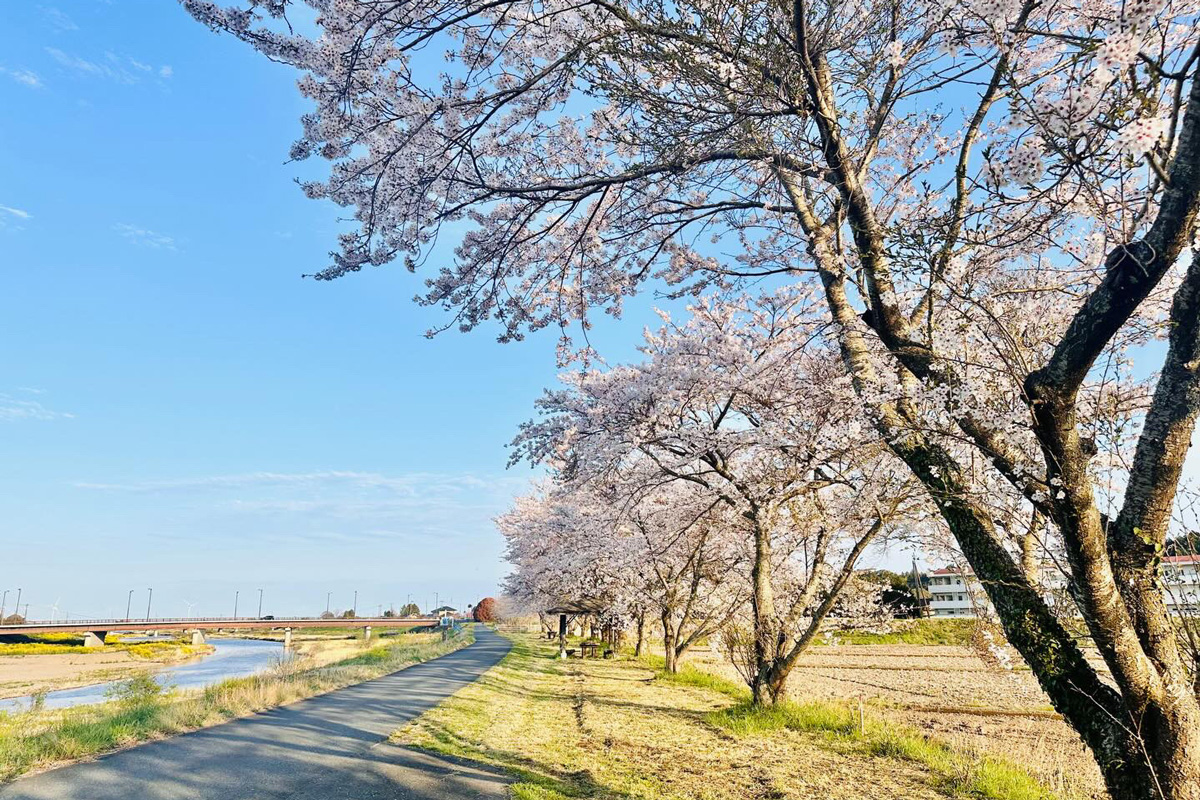 南相馬市の好きな景色。「烏崎海岸の風車」