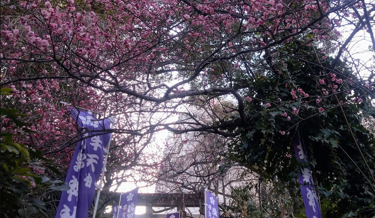 春日【牛天神北野神社】で、鷽替え神事とねがい牛のご利益にあずかる。