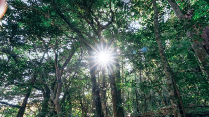 2026年の開運キーワードは「午」「南」「水」。開運のプロおすすめの聖地5選