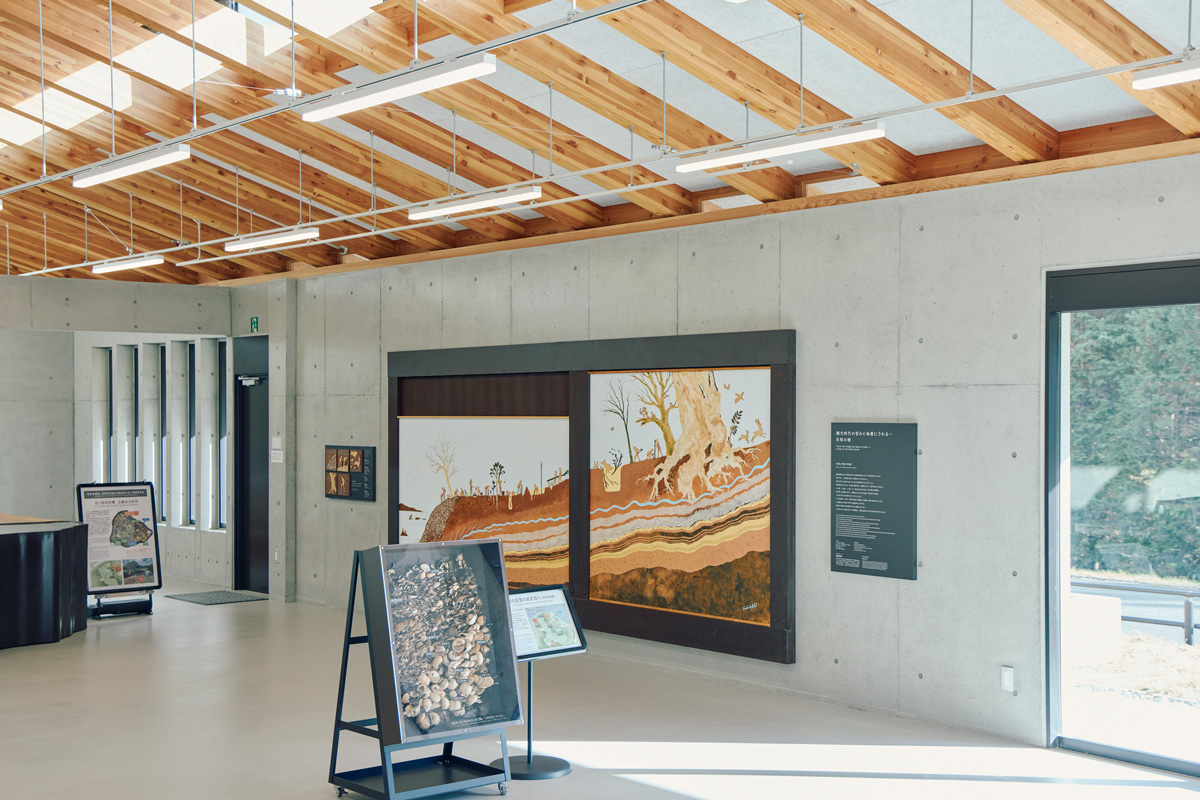 浦尻貝塚 縄文の丘公園 貝塚観察館