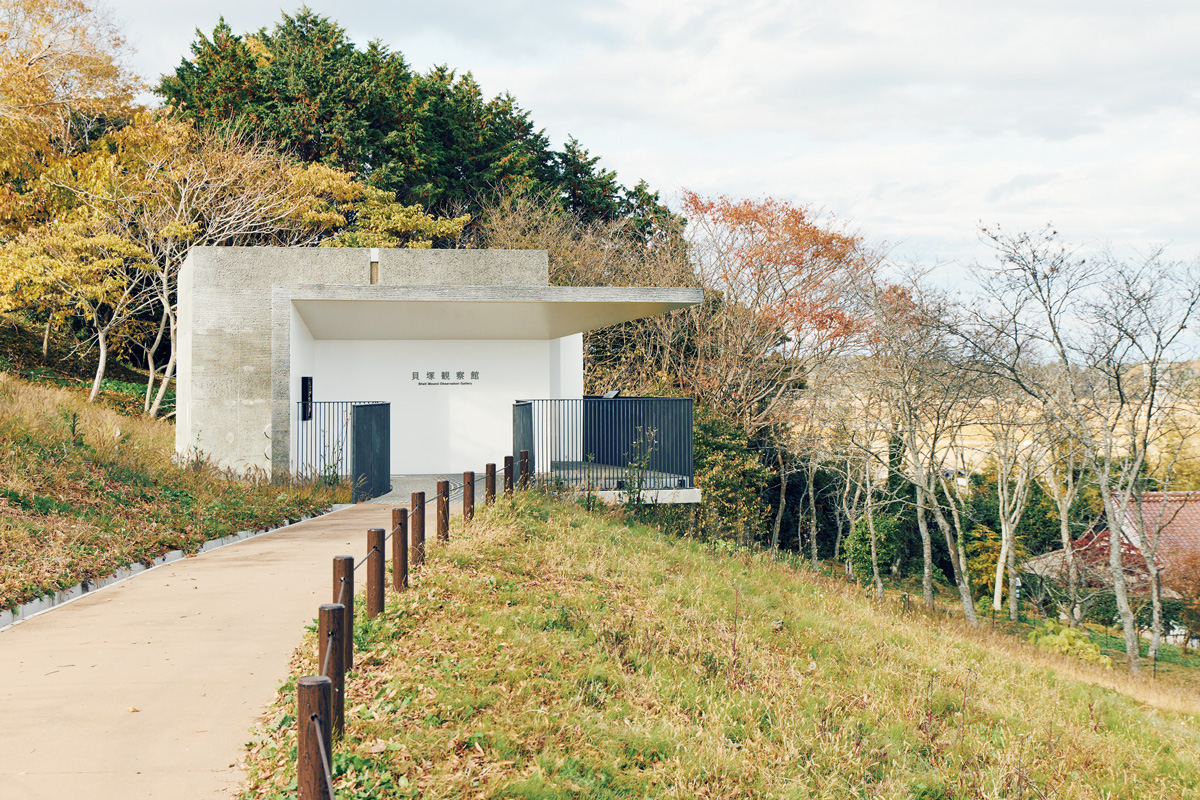 浦尻貝塚 縄文の丘公園 貝塚観察館