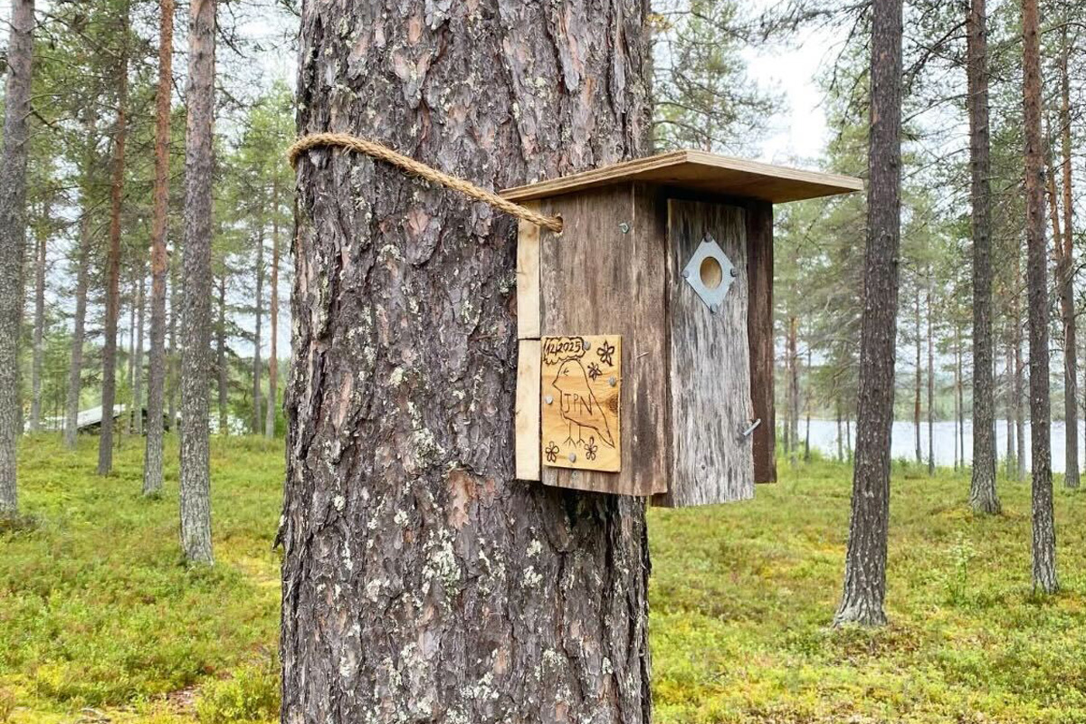 フィンランド　サウナの旅