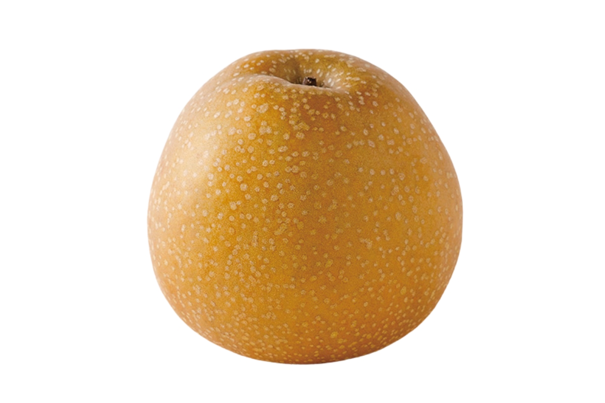 福島県のアンテナショップ〈日本橋ふくしま館‒MIDETTE〉で買える中通りエリアのグルメ6. 〈菅野房吉商店〉の王秋